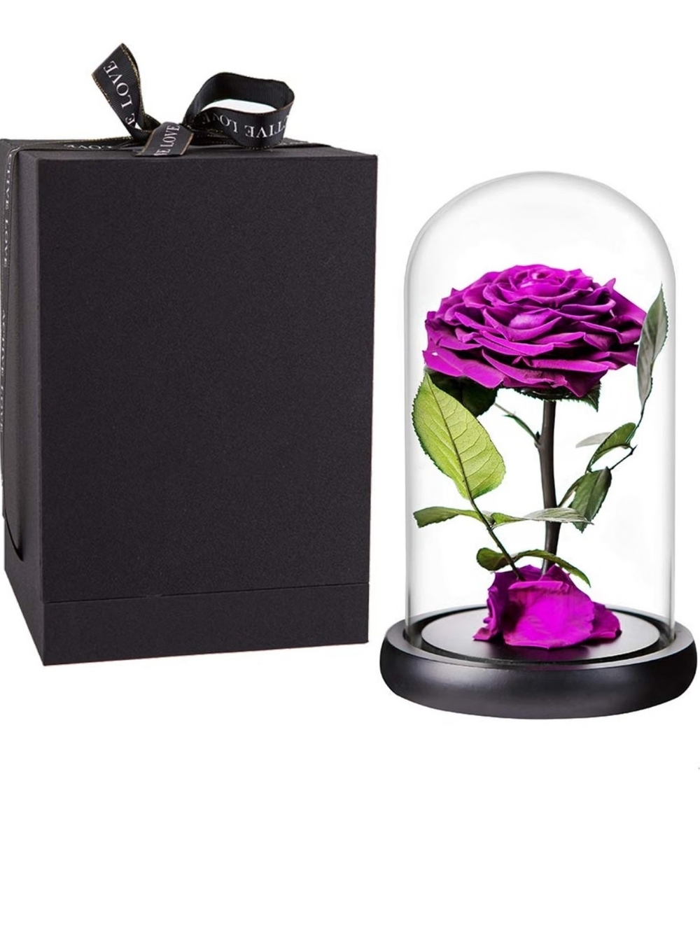 Fresh Purple Rose Preserved In A  Glass Dome - 9 Inch